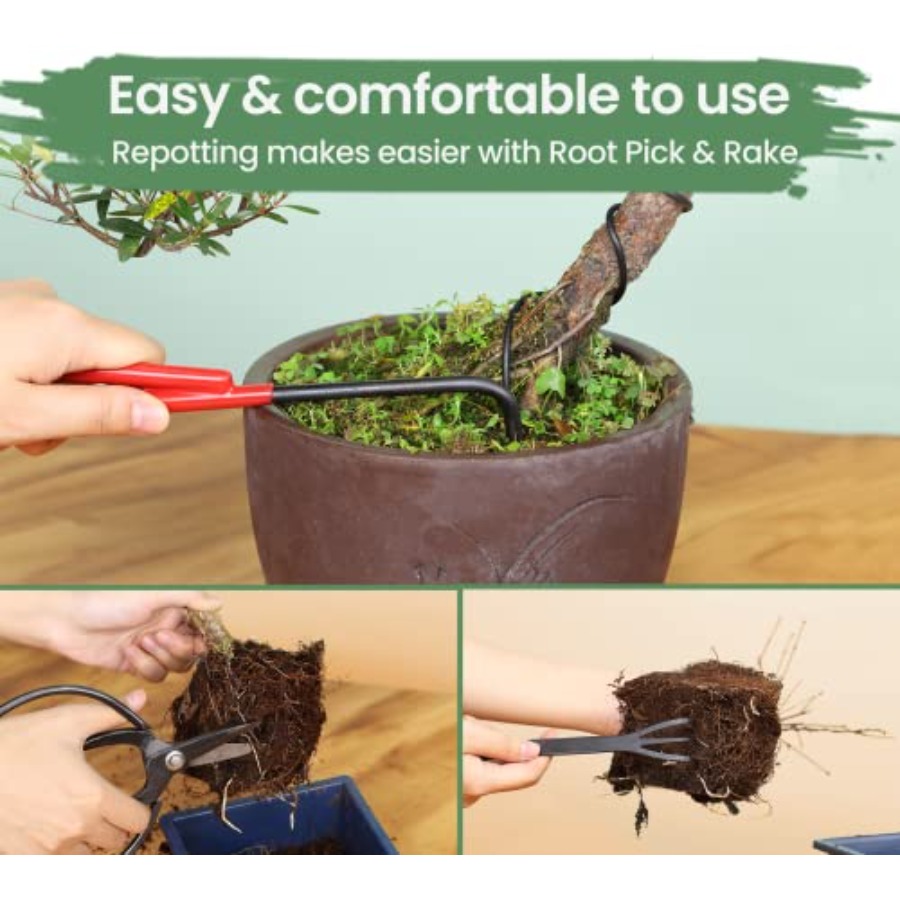 Bonsai Tools Set with Wood Box - огляд і ціна Bonsai Tool Set