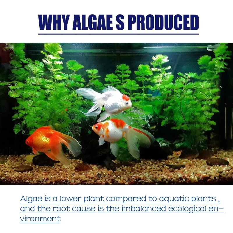 50g High Efficiency Algaecide  - огляд і ціна Aquaponics Fish Tank