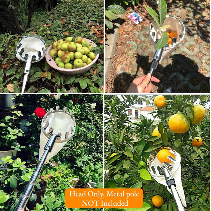 【Flash-Deal!】Fruit Picking Too - огляд і ціна Gardening Tools Deals