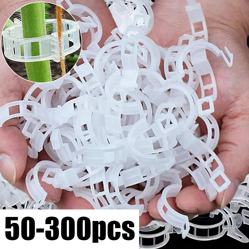50-300PCS Plant Support Clips  - огляд і ціна Gardening Tools Hoe