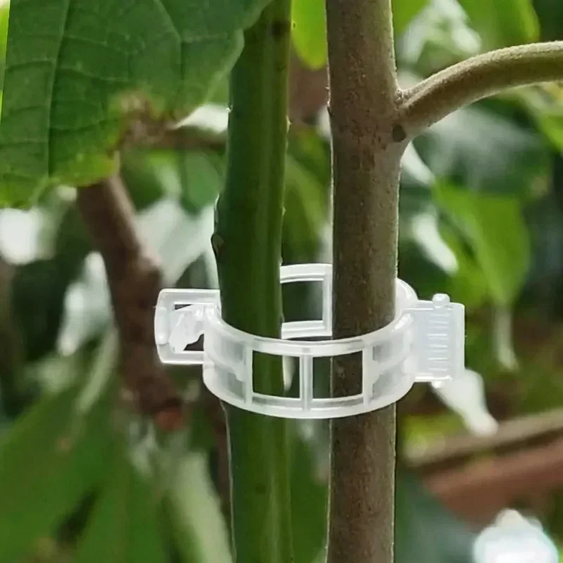 50-300PCS Plant Support Clips  - огляд і ціна Gardening Tools Hoe