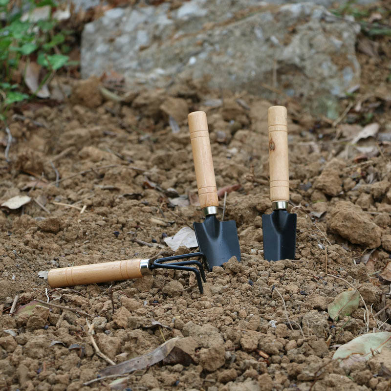 3Pcs/Set Mini Garden Tool Set  - огляд і ціна Gardening Tools Usa