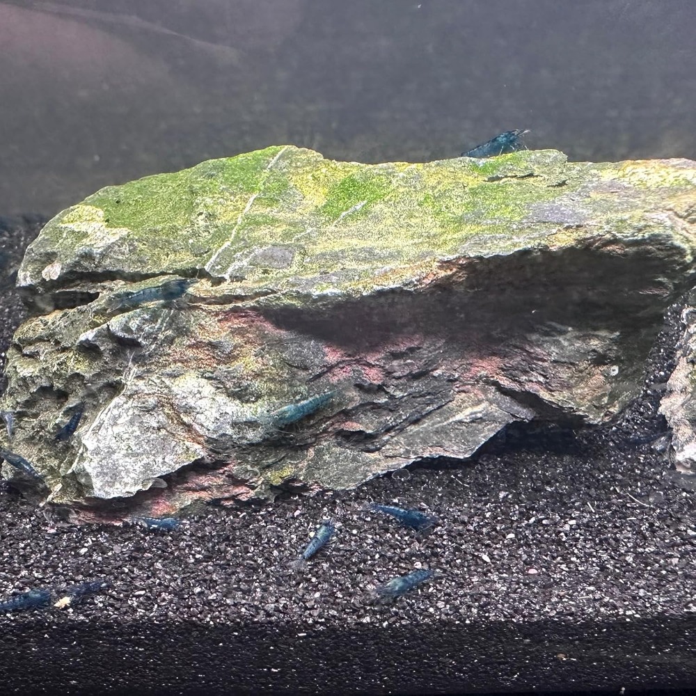 Black Aquarium Sand 2lbs, Fine - огляд і ціна Aquaponics Fish Tank