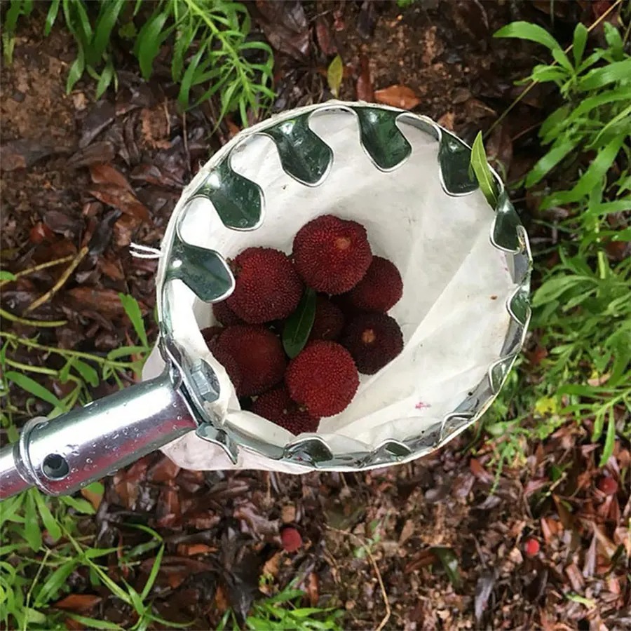 3-in-1 Fruit Harvesting Tool S - огляд і ціна Gardening Tools Usa