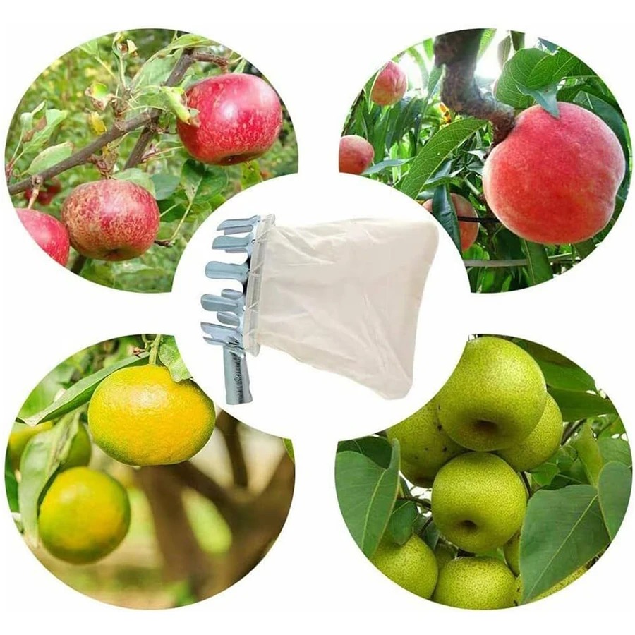 3-in-1 Fruit Harvesting Tool S - огляд і ціна Gardening Tools Usa