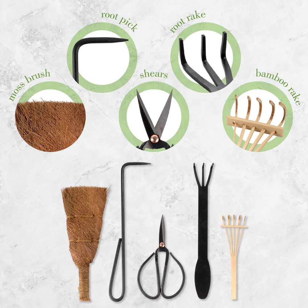 Bonsai Tool Kit 5pc Basic Care - огляд і ціна Bonsai Tool Set