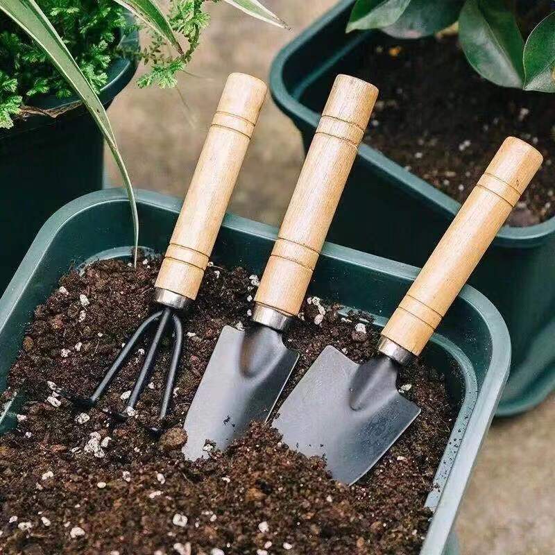 3Pcs Mini Gardening Tool Set w - огляд і ціна Gardening Tools Rake