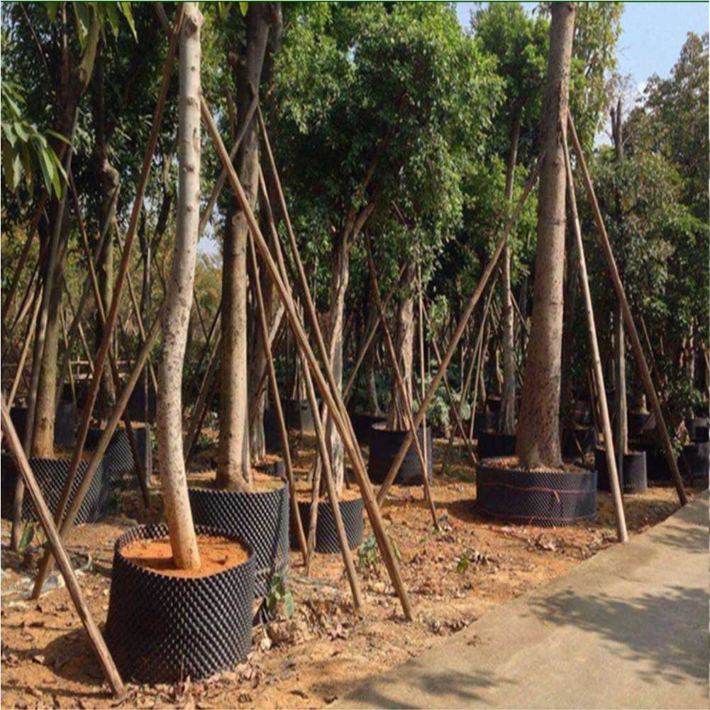 Grow Container Garden Tree Bon - огляд і ціна Gardening Tools Of