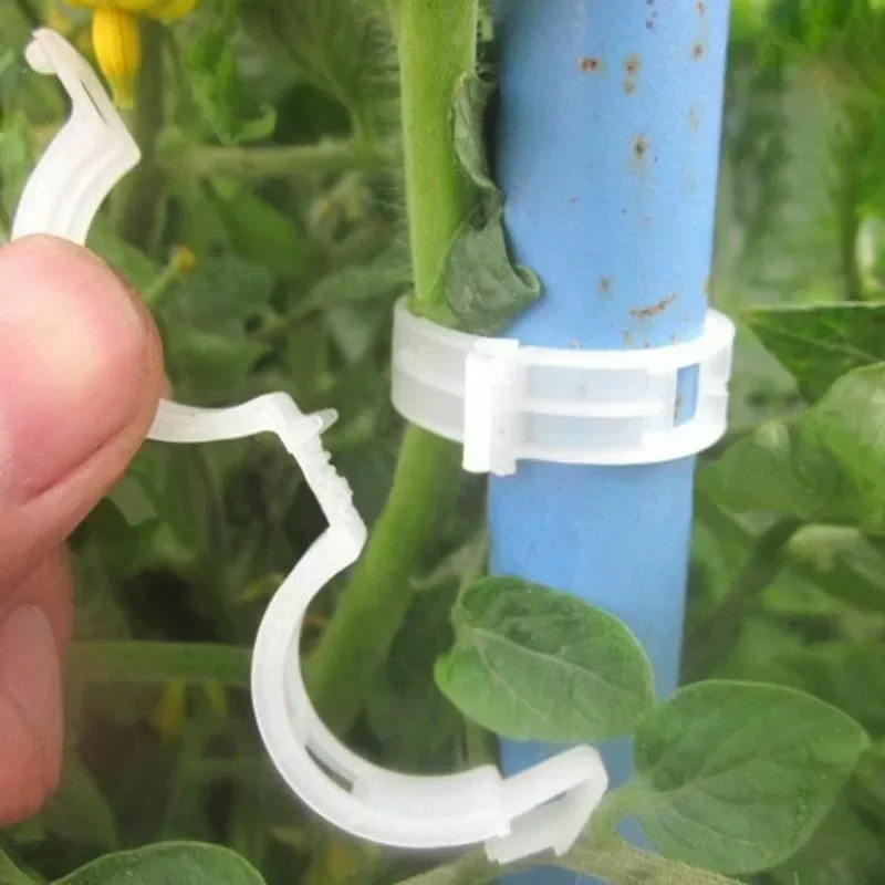 500/50PCS Plant Support Clips  - огляд і ціна Gardening Tools Hoe