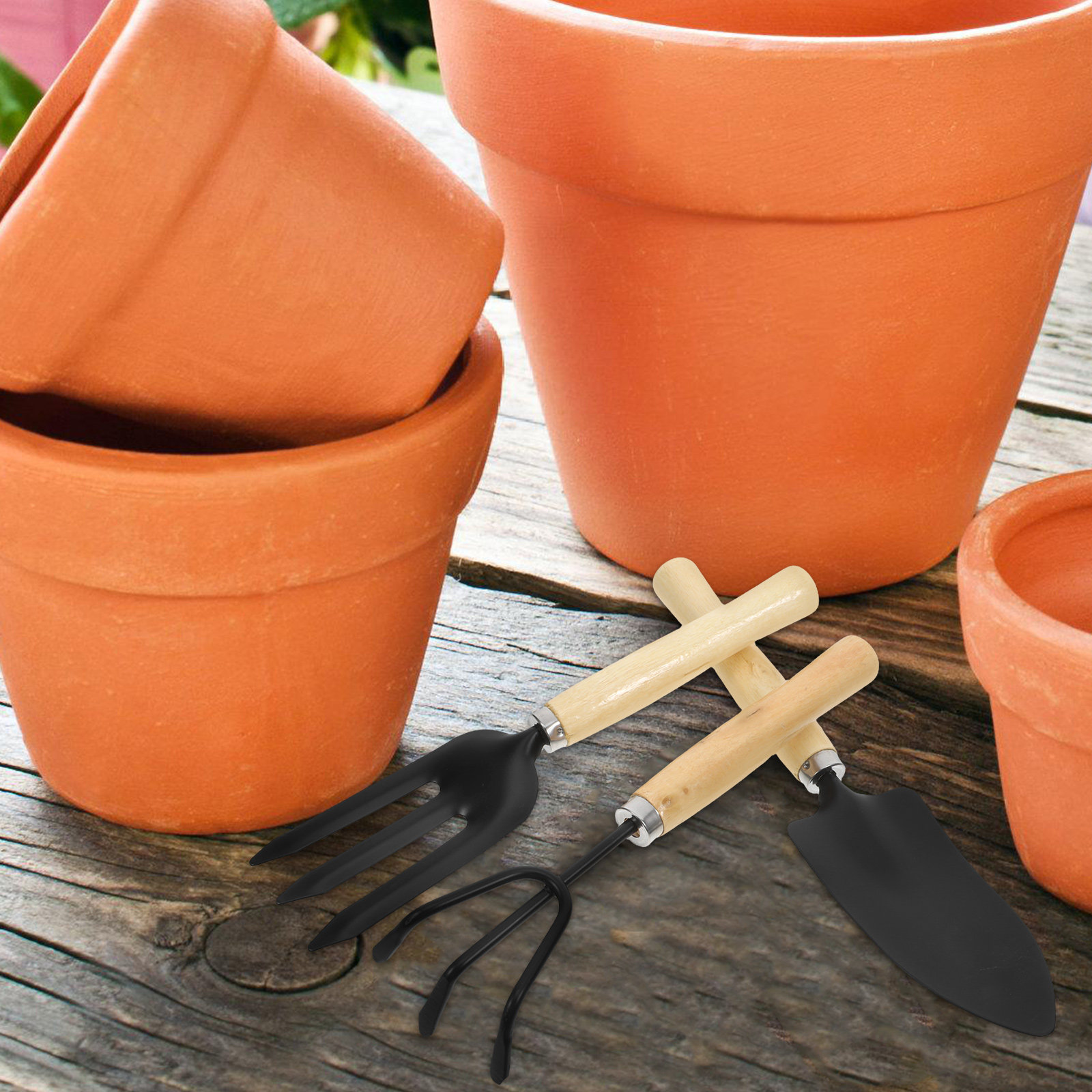 3Pcs Garden Tool Set for Woode - огляд і ціна Bonsai Tool Set