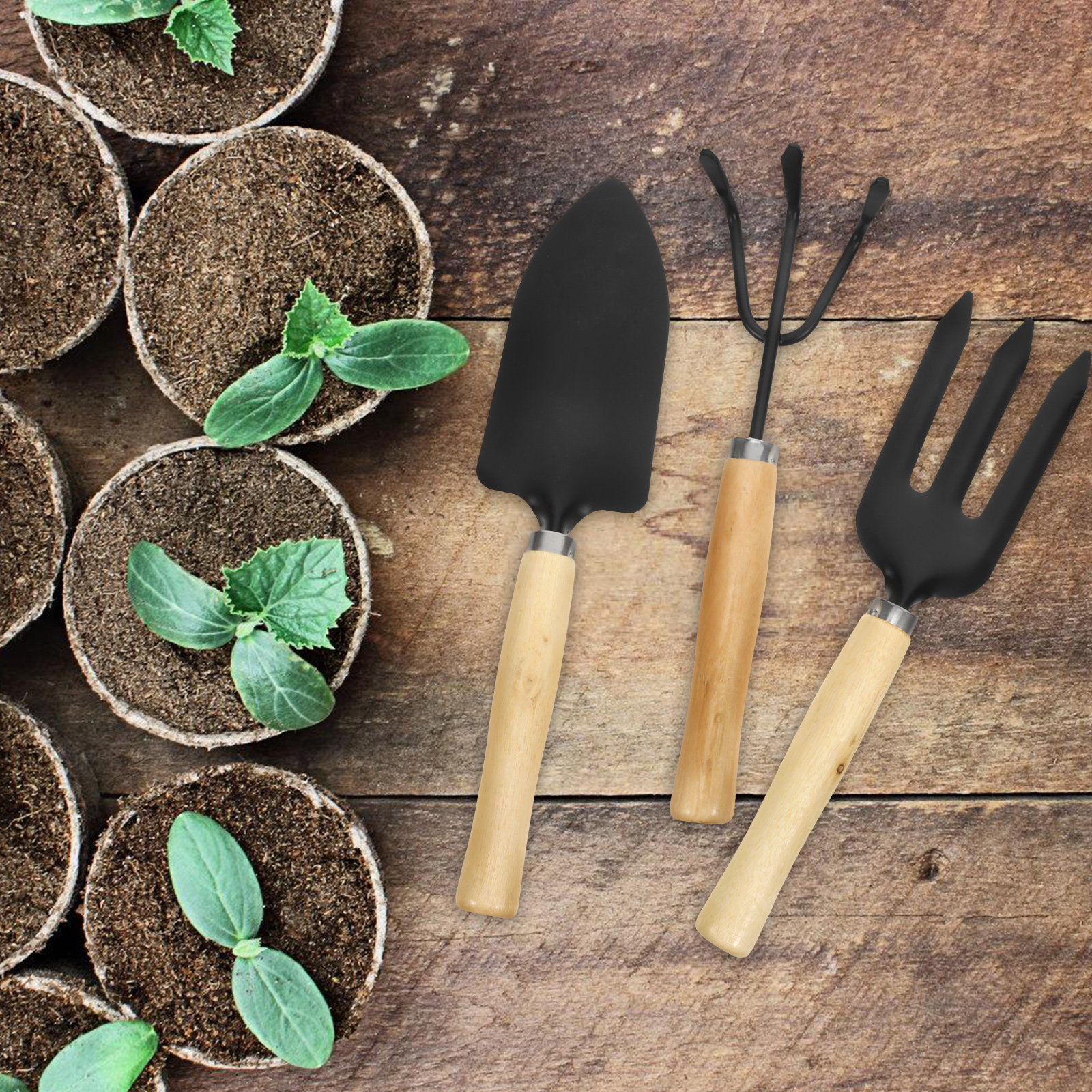 3Pcs Garden Tool Set for Woode - огляд і ціна Bonsai Tool Set
