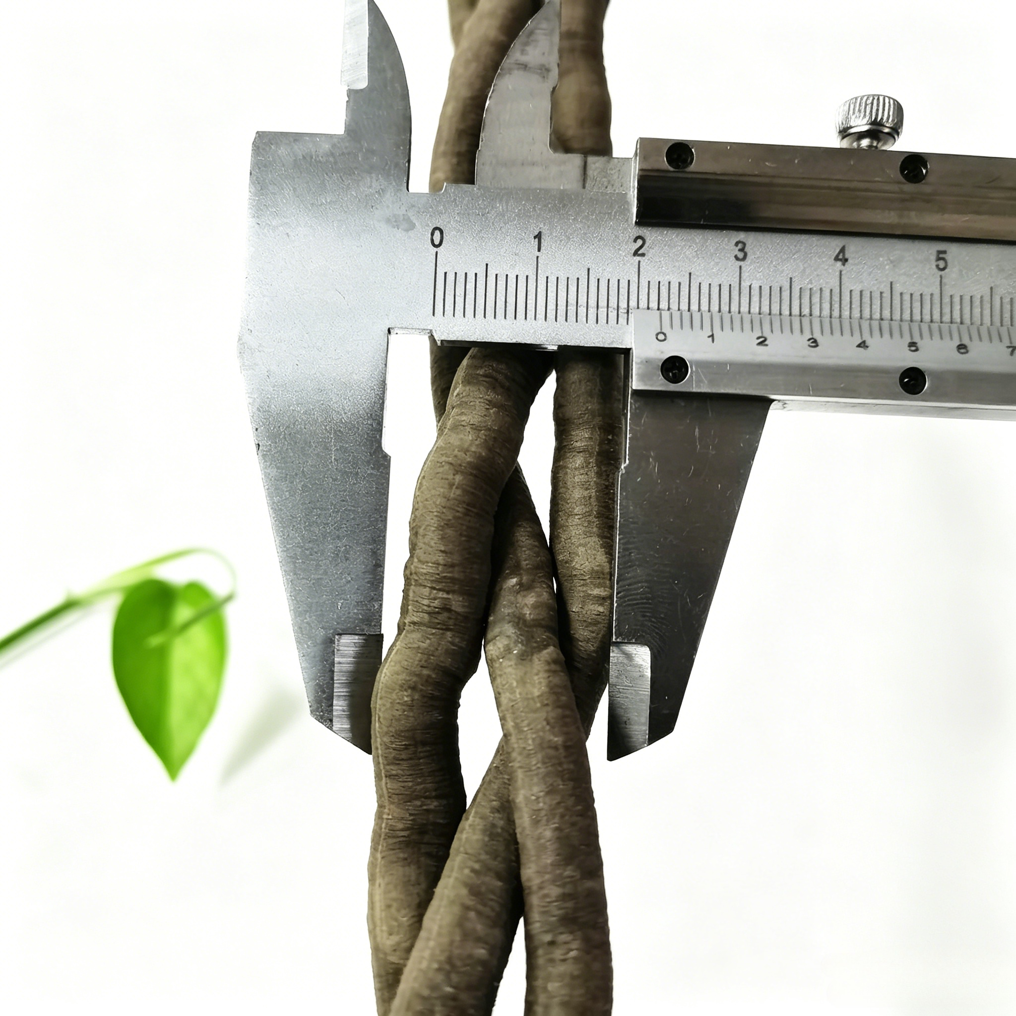 100cm Artificial Vine Fake Pla - огляд і ціна Aquaponics Fish Tank