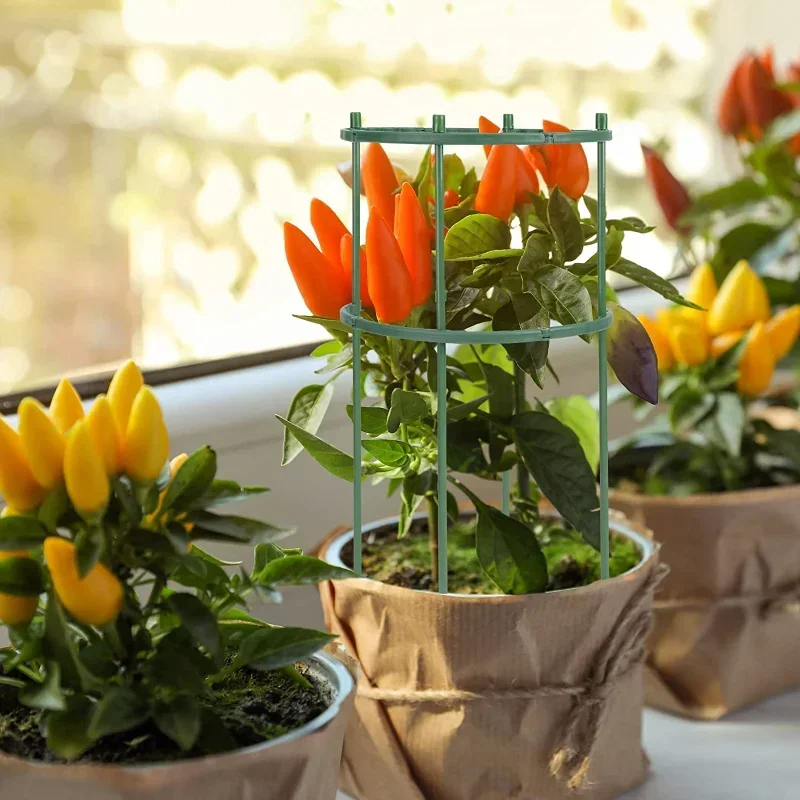 Plastic Plant Support Pile Sta - огляд і ціна Gardening Tools Hoe
