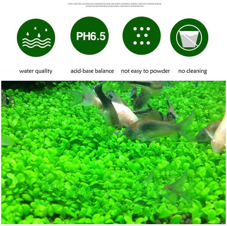 Aquarium Plant Seeds Soil Fish - огляд і ціна Aquaponics Fish Tank