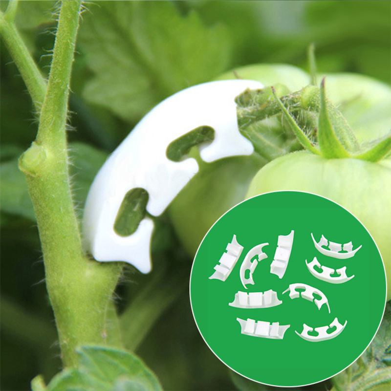 50/100pcs Botany-stem Vine Str - огляд і ціна Gardening Tools Hoe