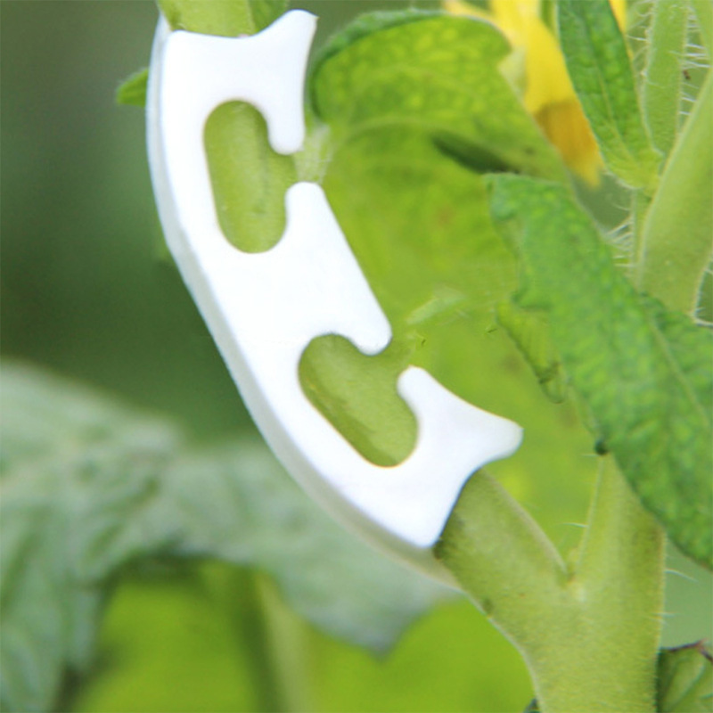 50/100pcs Botany-stem Vine Str - огляд і ціна Gardening Tools Hoe