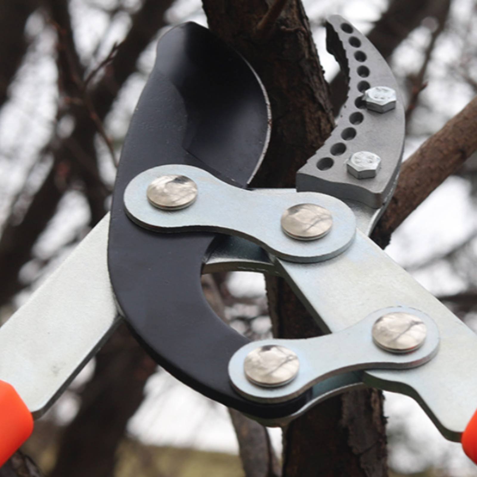 Telescopic Branch Pruners Shar - огляд і ціна Gardening Tools Of
