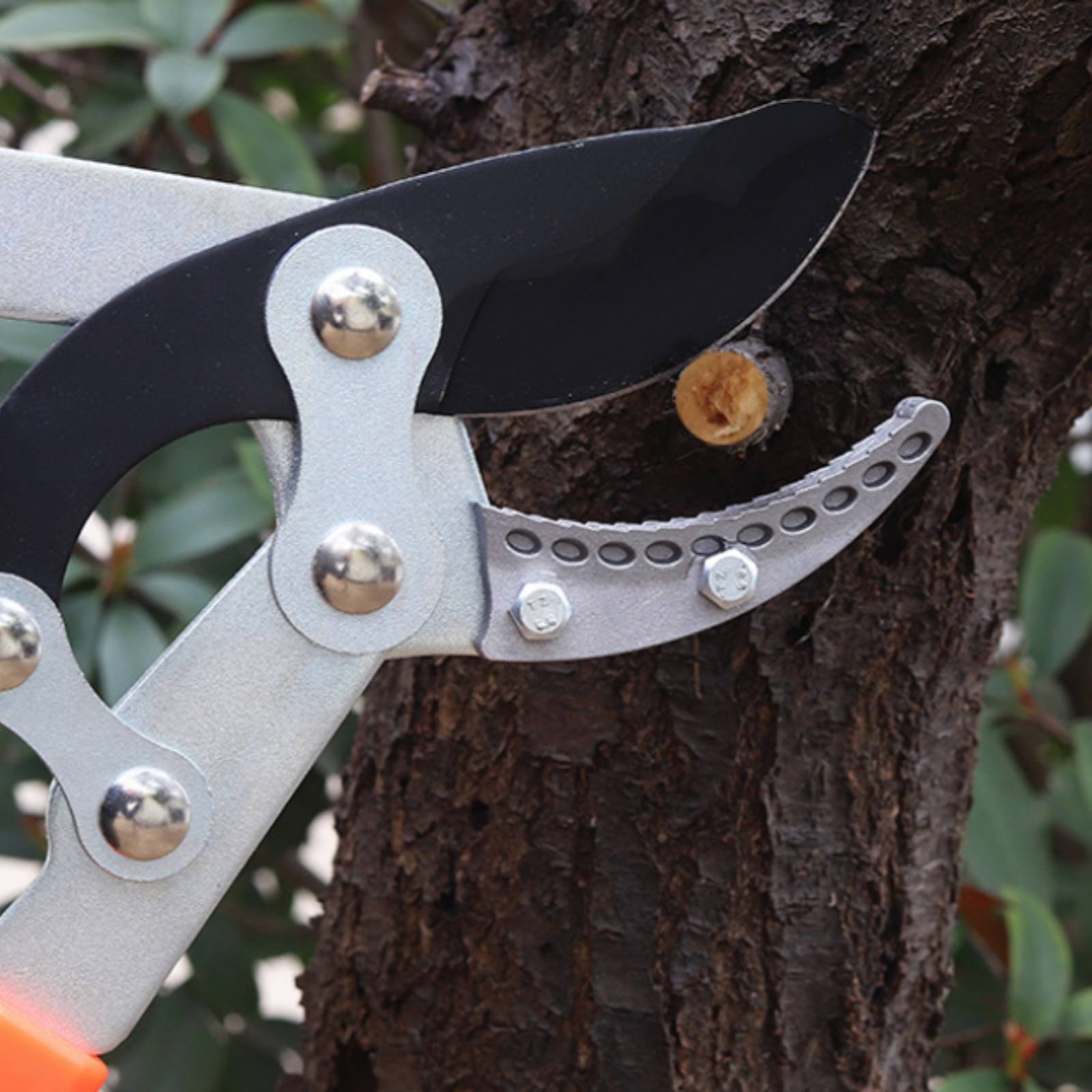 Telescopic Branch Pruners Shar - огляд і ціна Gardening Tools Of