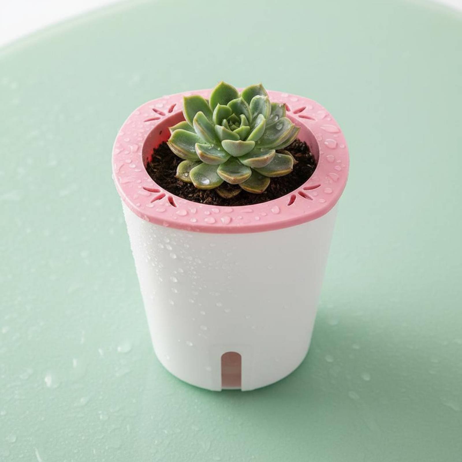Self Watering Planter Large Si - огляд і ціна Gardening Tools Of