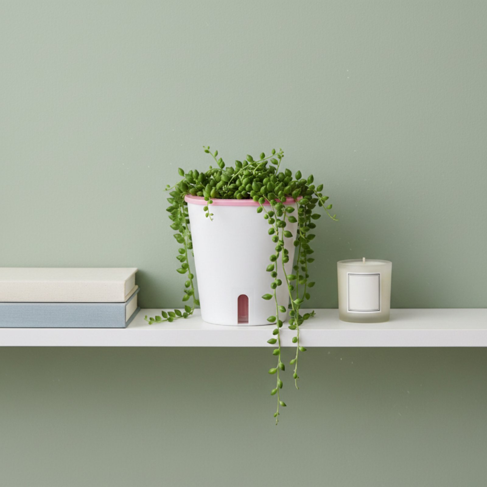 Self Watering Planter Large Si - огляд і ціна Gardening Tools Of