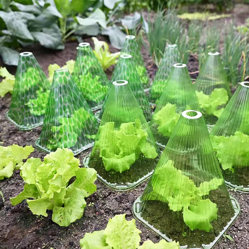 10/20pcs Plant Protective Cove - огляд і ціна Gardening Tools Usa